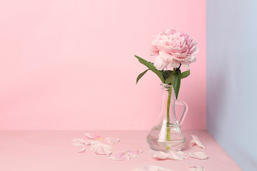 Similar image 21720131