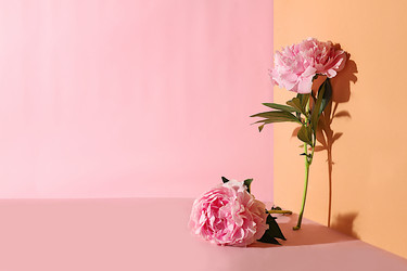 Similar image 21720132