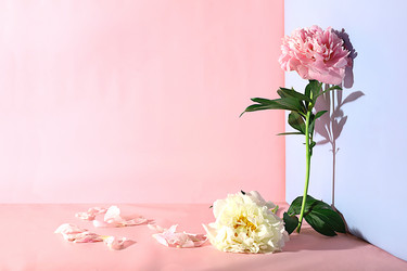 Similar image 21720133