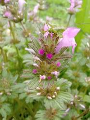 Similar image 21720320