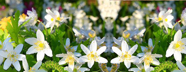 Similar image 21720137