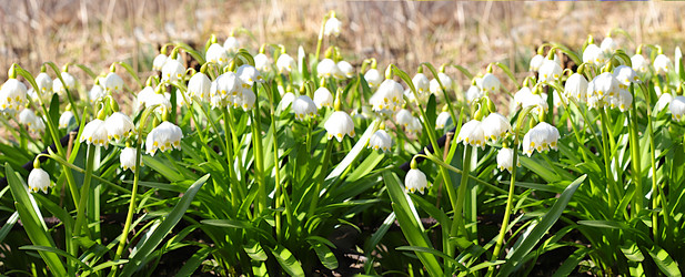 Similar image 21720140