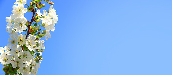 Similar image 21720144