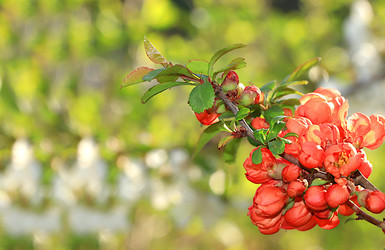 Similar image 21720146