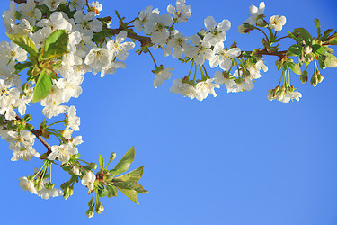 Similar image 21720147