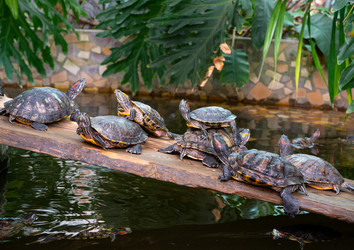 Similar image 21720509