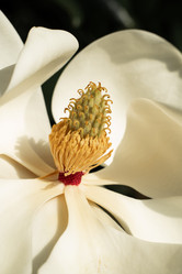 Similar image 21720510