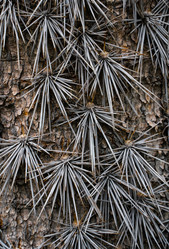 Similar image 21720511