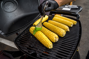 Similar image 21720513