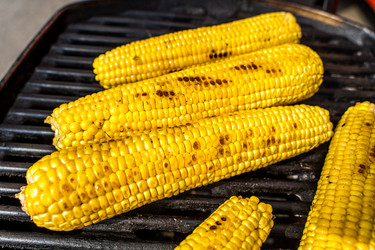 Similar image 21720519