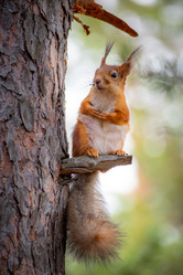 Similar image 21720394