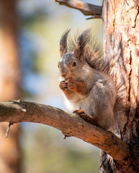 Similar image 21720399