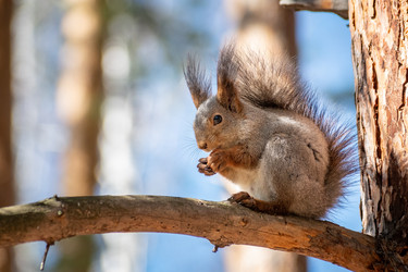 Similar image 21720401