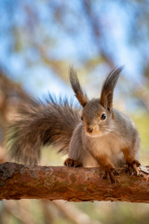 Similar image 21720402