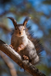 Similar image 21720403