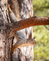 Similar image 21720405