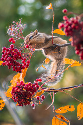 Similar image 21720410