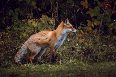 Similar image 21720415