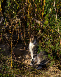 Similar image 21720332