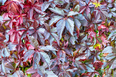 Similar image 21720333