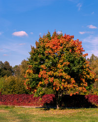 Similar image 21720334