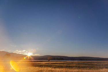 Similar image 21720338