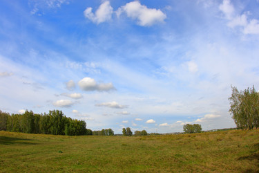 Similar image 21720535