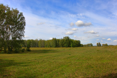 Similar image 21720536