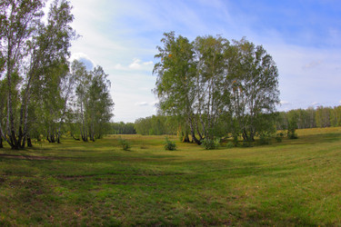 Similar image 21720537