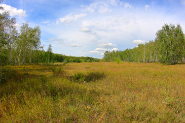 Similar image 21720539