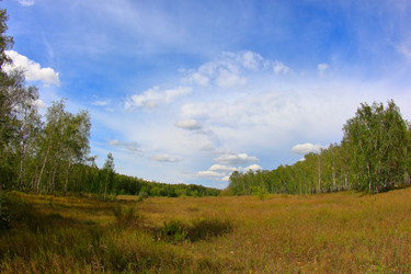 Similar image 21720540