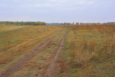 Similar image 21720542