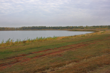 Similar image 21720543