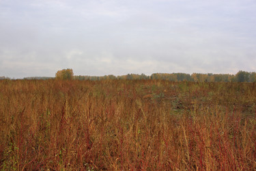 Similar image 21720544