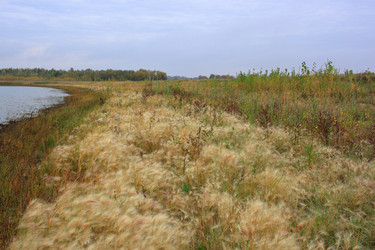 Similar image 21720545