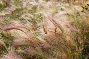 Similar image 21720546