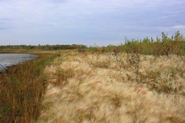 Similar image 21720547