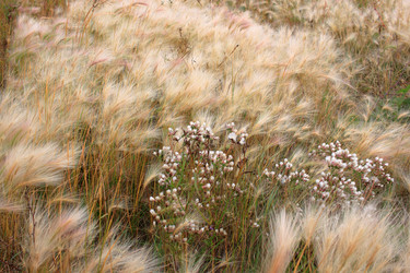 Similar image 21720548