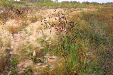 Similar image 21720552