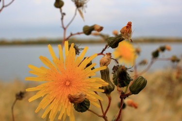 Similar image 21720553