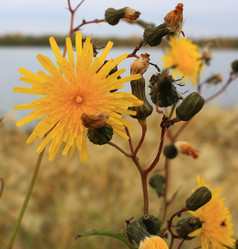 Similar image 21720554