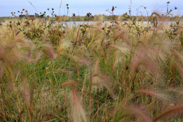 Similar image 21720555