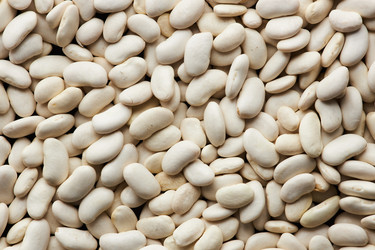 Similar image 21740472