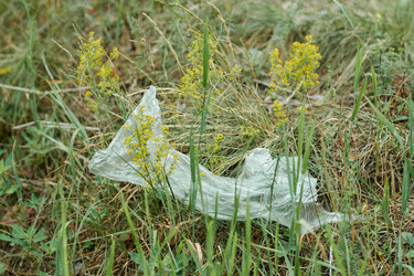 Similar image 21736363