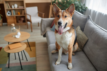 Similar image 21739612