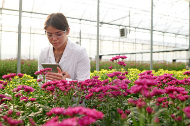 Similar image 21729610