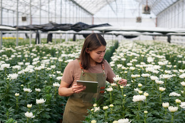 Similar image 21728297