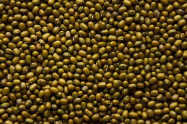 Similar image 21742492