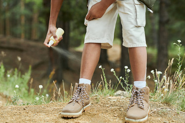 Similar image 21731016