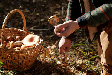 Similar image 21737263